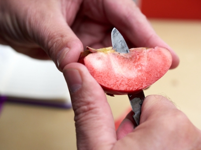 Hands Cutting Apple