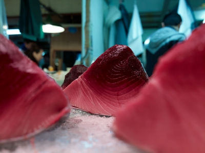 Tsukiji Fish Market Tuna Details