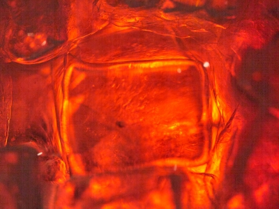 Led Ice Cube Red