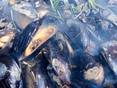 Mussel On BBQ