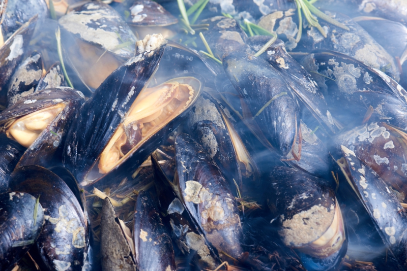 ￼Mussel-on-BBQ￼-1037