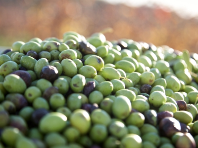 Olives On A Heap
