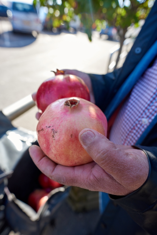 ￼Hands-Holding-Pomme-Granate￼Untitled-Job-2475