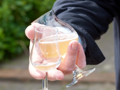 ￼Hands-hold-glases-with-Beer￼-3545