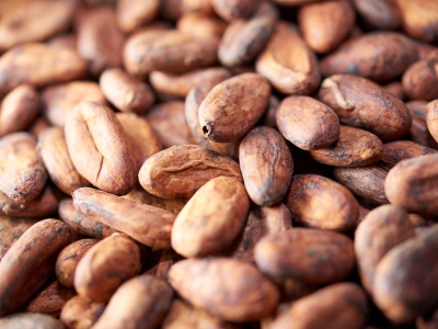 Cacao Beans Close Up