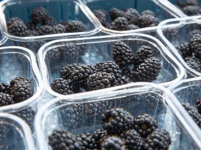 Blackberries In Plastic Trays