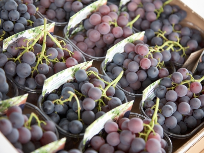 Grapes In Boxes