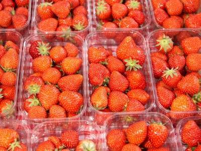 Strawberrys In Plastic Trays