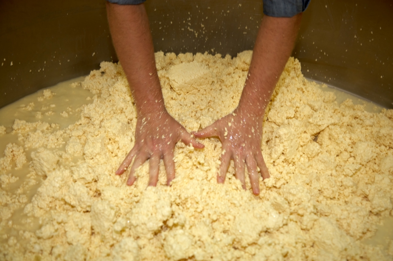 ￼Hands-with-Chesse-making￼-1378