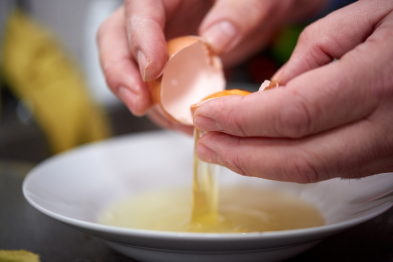 ￼Hands-with-Egg￼-0849