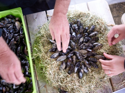 ￼Hands-with-Mussels￼-0939