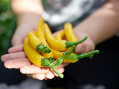 ￼Hands-with-Peppers￼-5244
