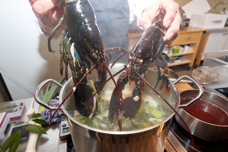 ￼Hands-with-Lobster-above-pan￼-4022